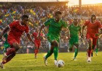 Kvalifikace na Africký pohár národů: cesta na kontinentální šampionát